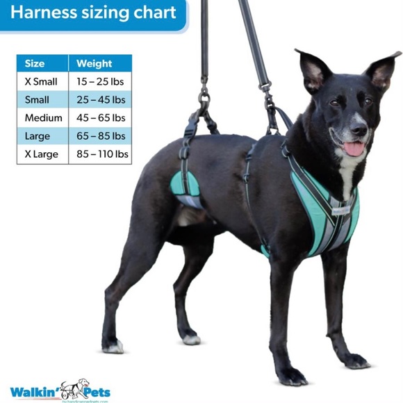 Walkin’ Lift-n-Step Harness - Picture 5 of 5